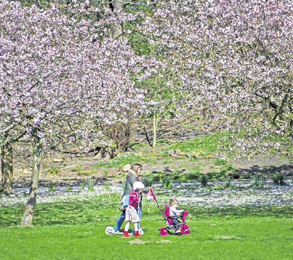 Fears raised over '90 per cent' of city's green belt