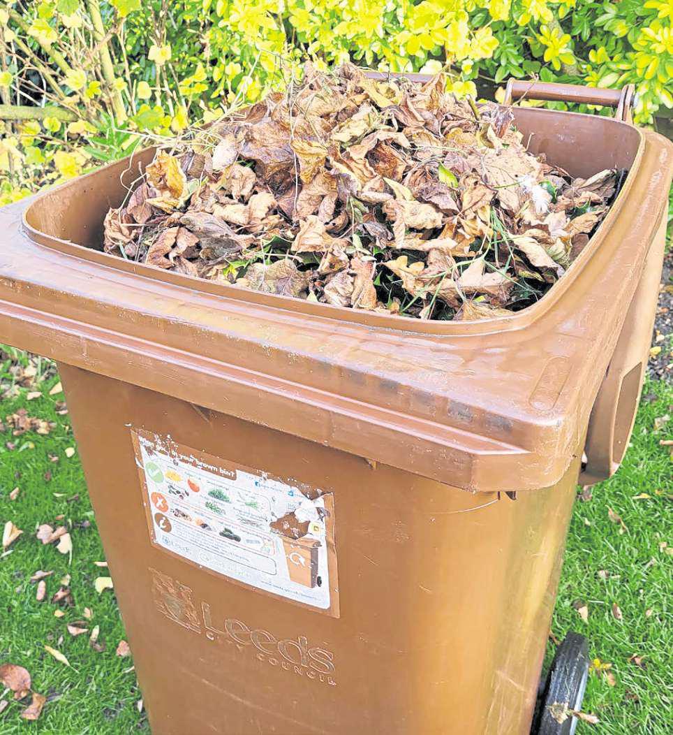 City bins garden waste collections - until the spring