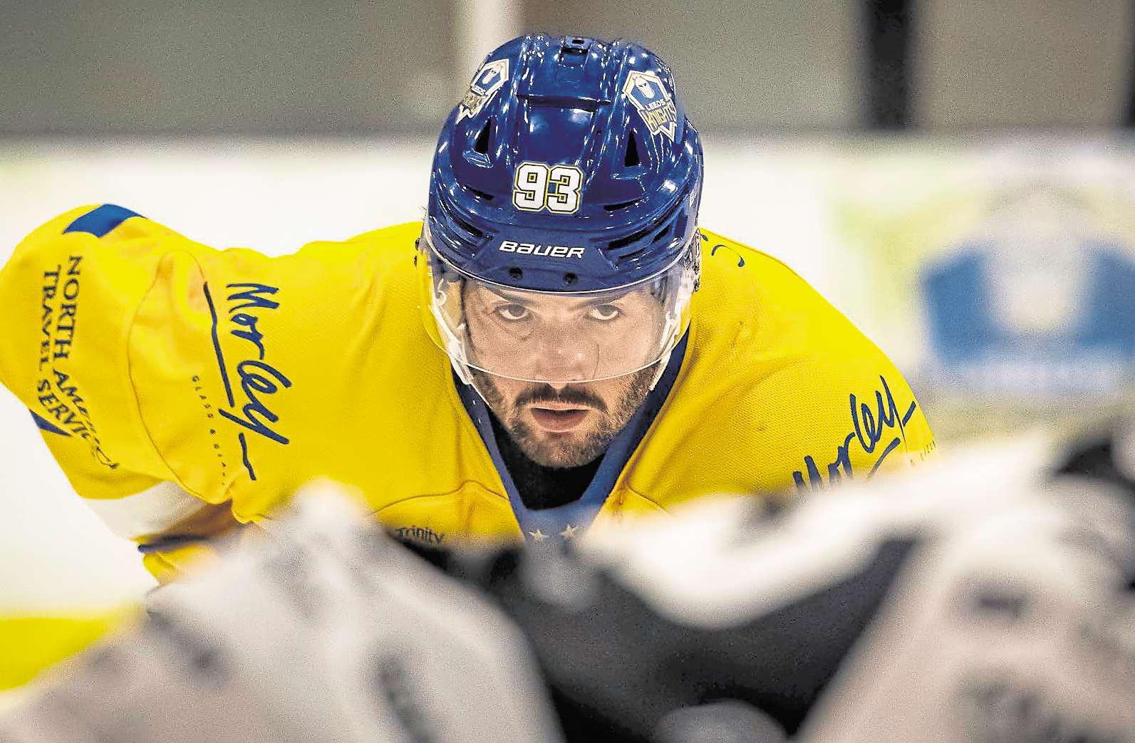 Hard times embraced by Pákozdi at Knights ahead of return to Wildcats