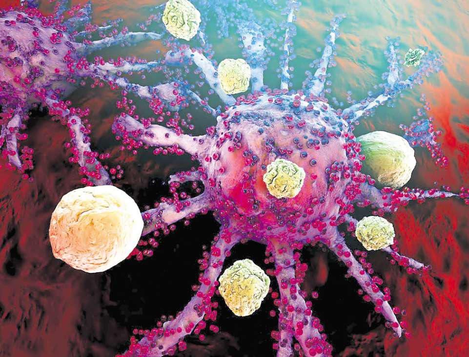 Are flu cases abnormally higher this year?