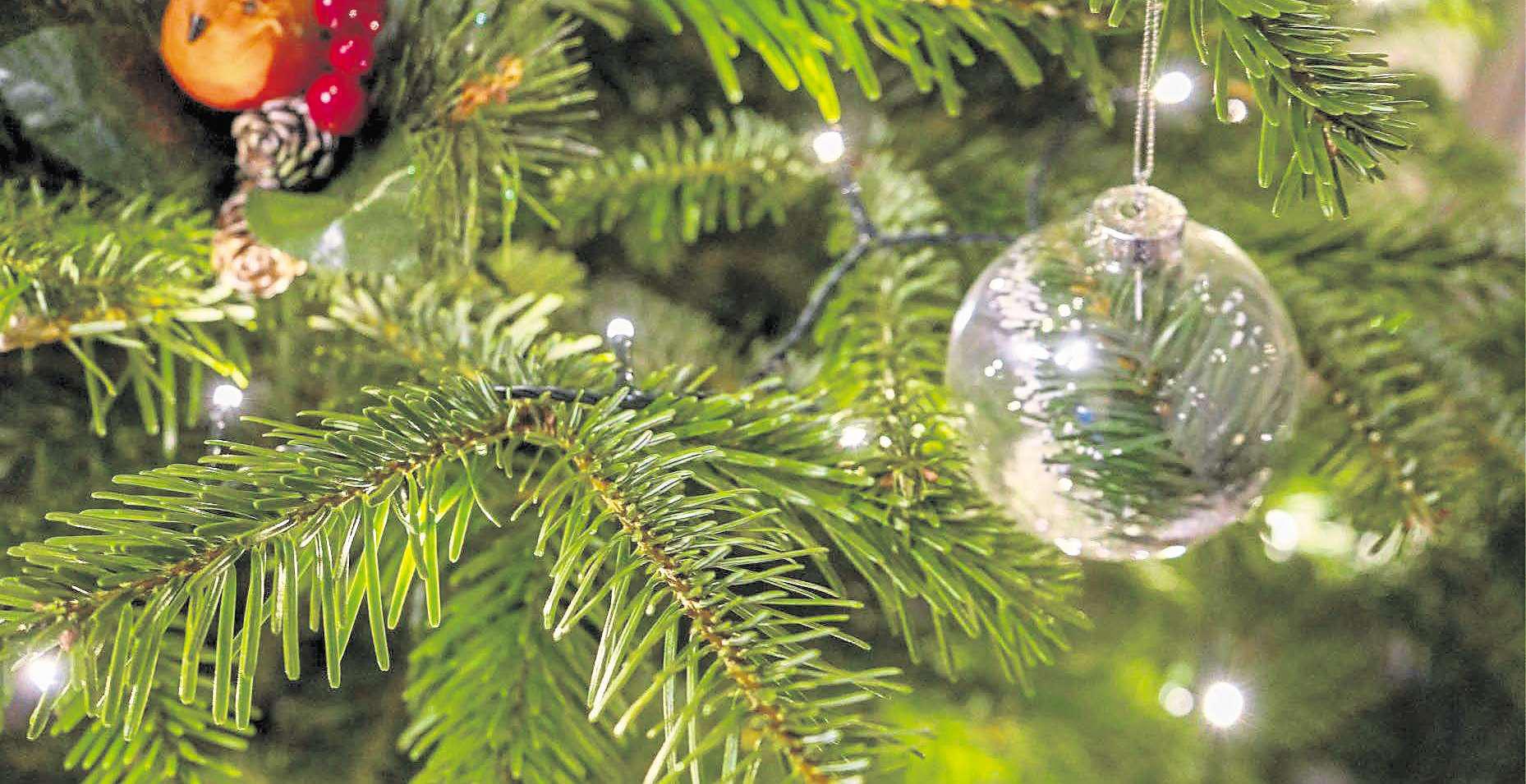 Christmas tree scheme to boost older people charity's services after shortfall