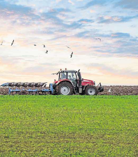Poor harvest to cost arable farmers £800 million