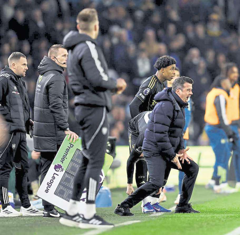 Fulham failed to live up to expectations