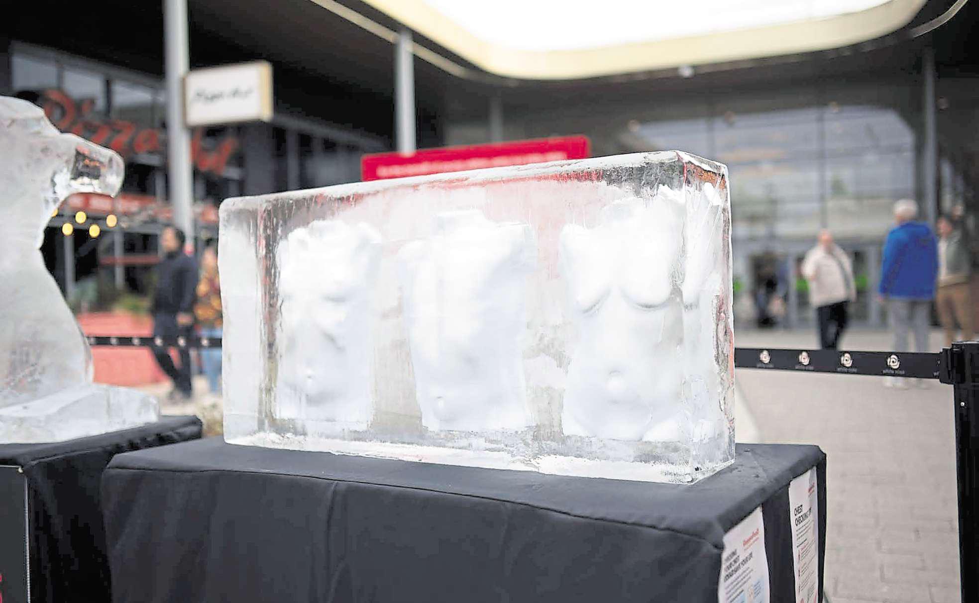 Ice sculptures take over White Rose to spark life-saving conversations