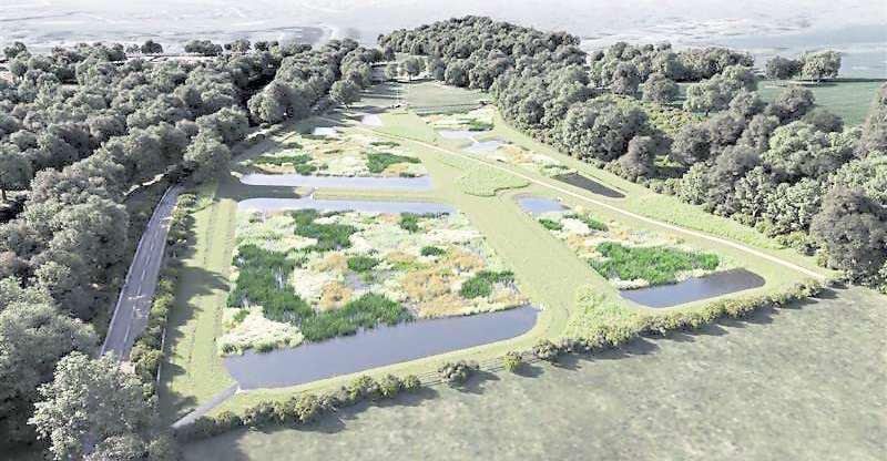 Natural fix can improve water quality