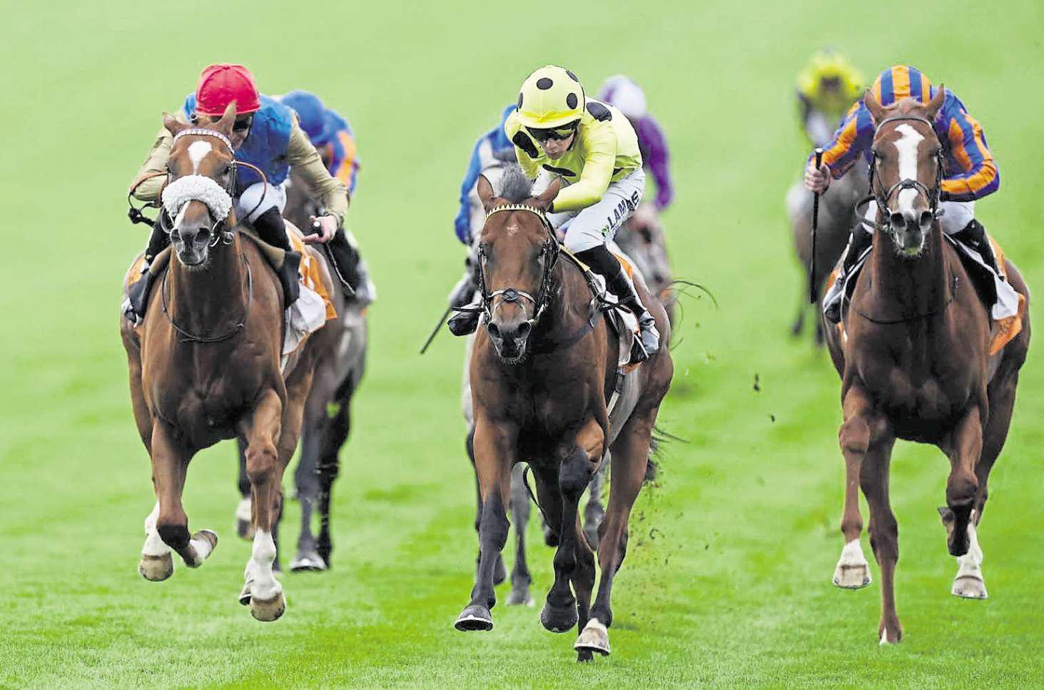 Bow Echo building up nicely for Royal Ascot showdown