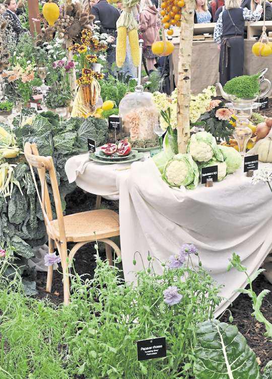 Garden delights in Great Pavilion