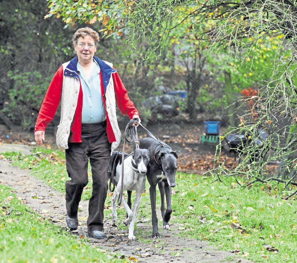 Dog charity says it is closing down after 50 years