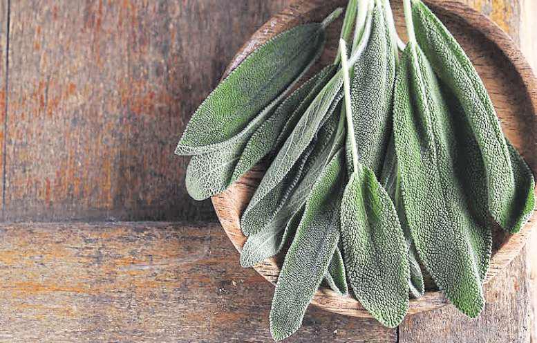 Regulate temperature with Sage