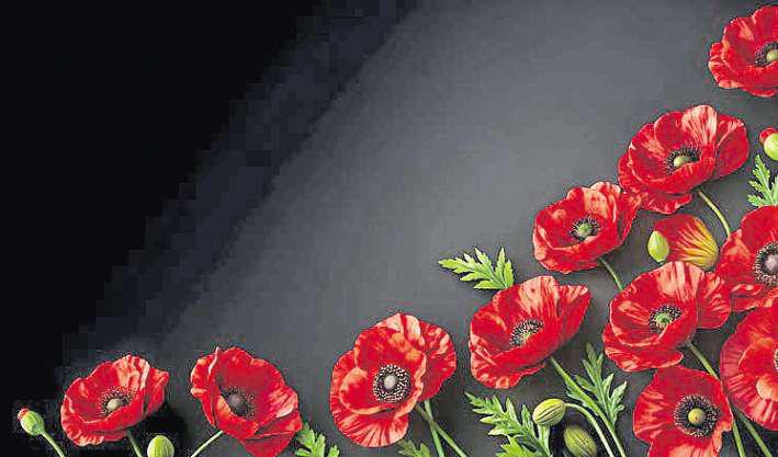 'We may allow ourselves a brief period of rejoicing'