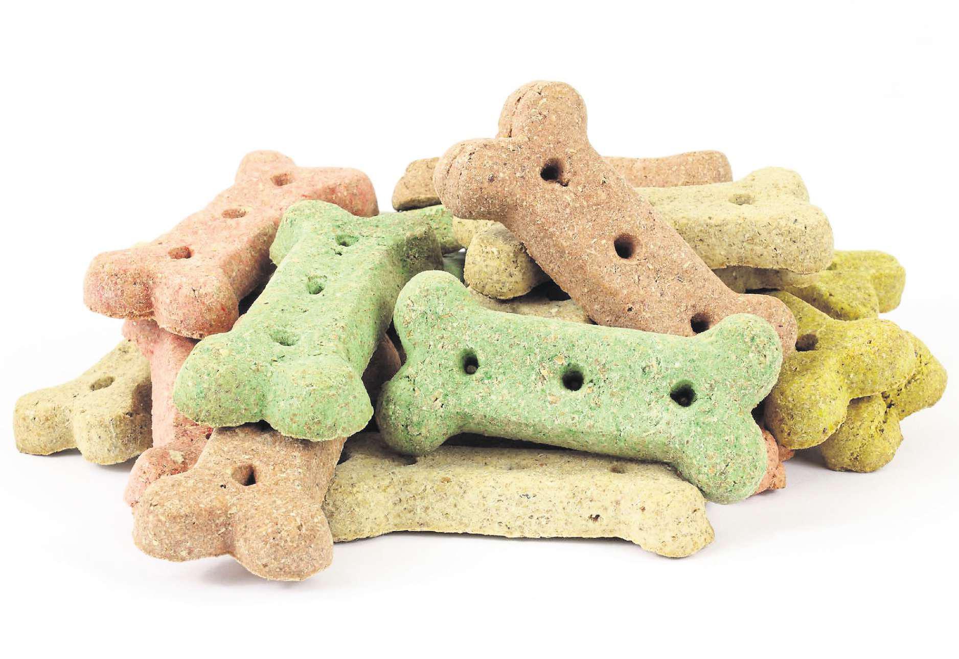 Time the four-legged jaywalker's paws learned when to pause