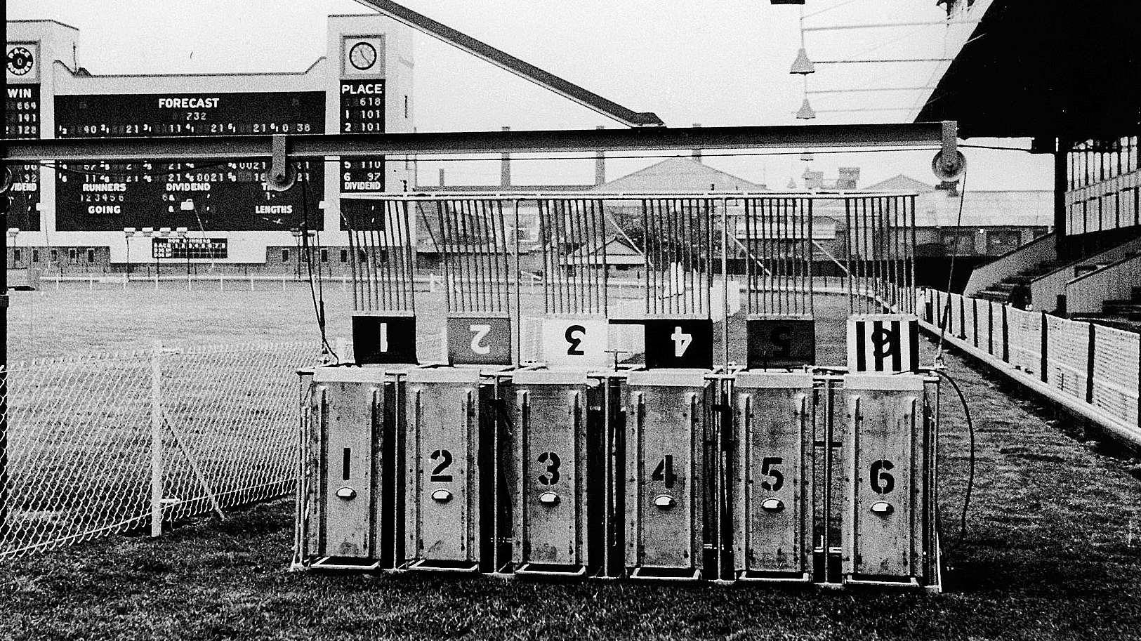 Clampdown on greyhound race betting fraud results in jail time