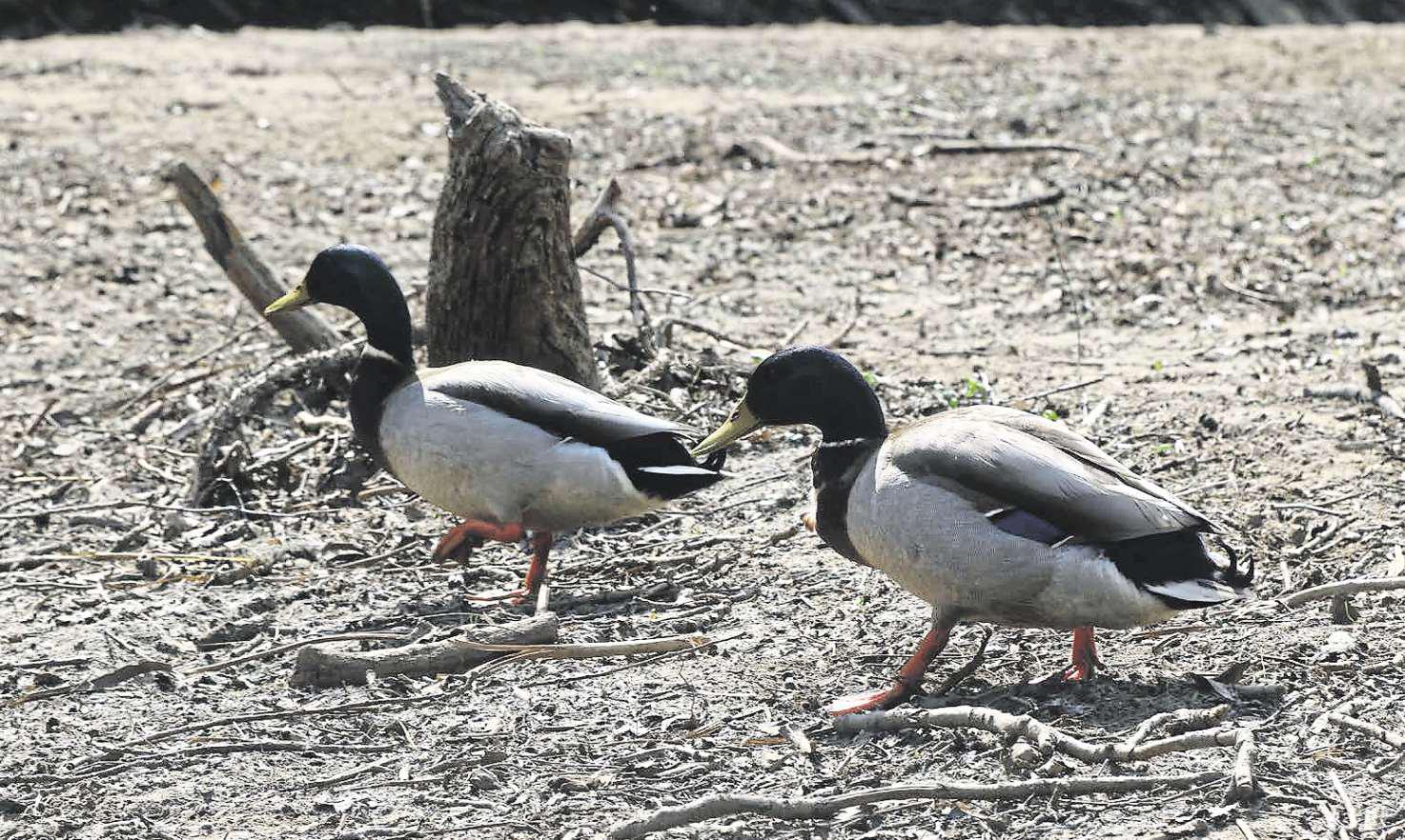 'Use less water' warning as dry spell sees reservoir levels drop