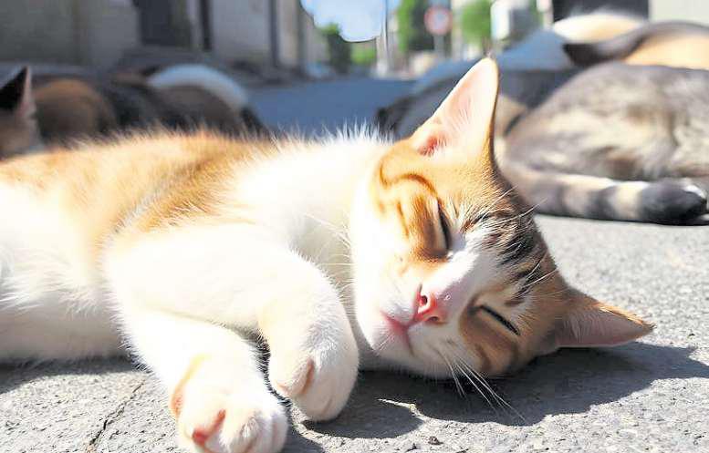 It feels like it's raining cats and dogs on the Costa del Sol