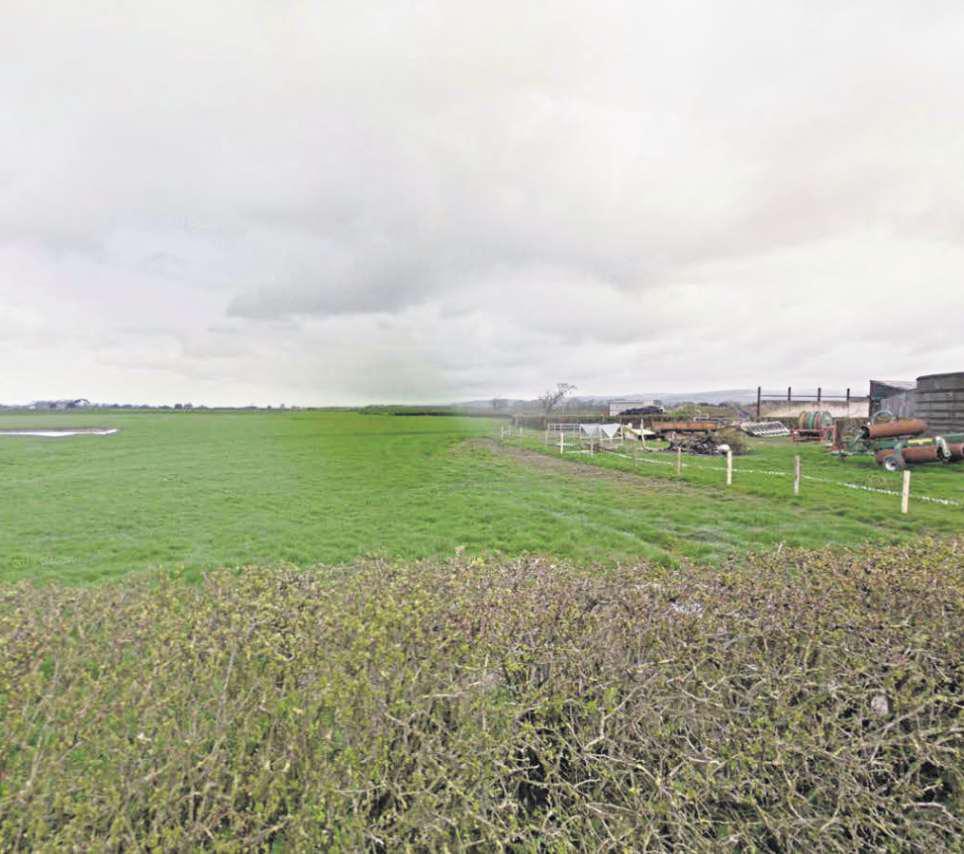 Solar farm given nod where sheep will still graze