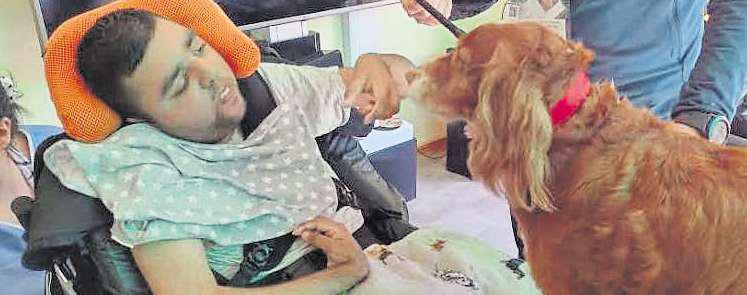 'Magical' volunteers bring smiles to children's faces