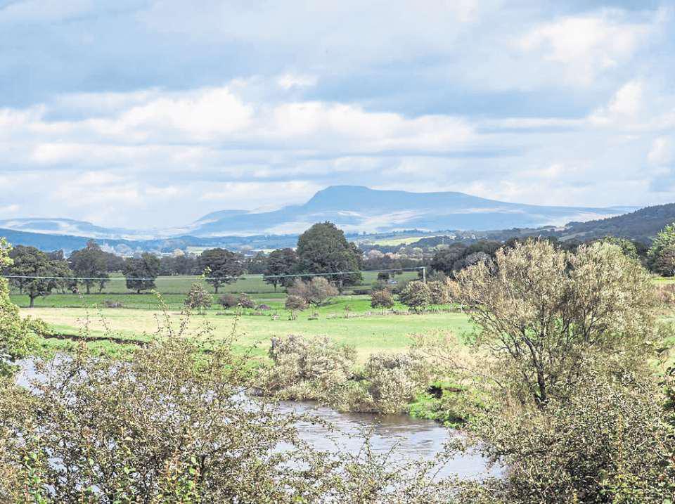 How golf courses have helped preserve wild habitats