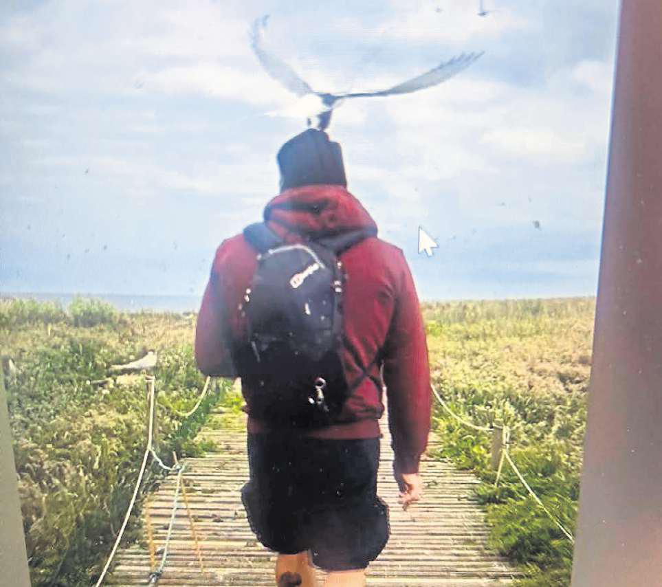 Things took a tern for the worse for bird-loving couple