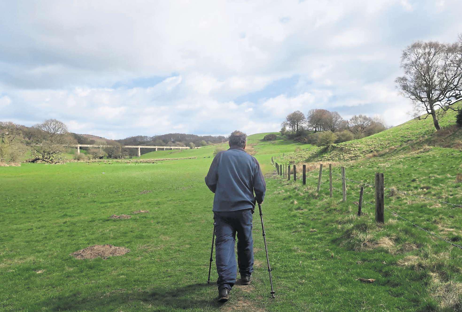 Pleasington Water, woodland and history on Hoghton Bottoms walk