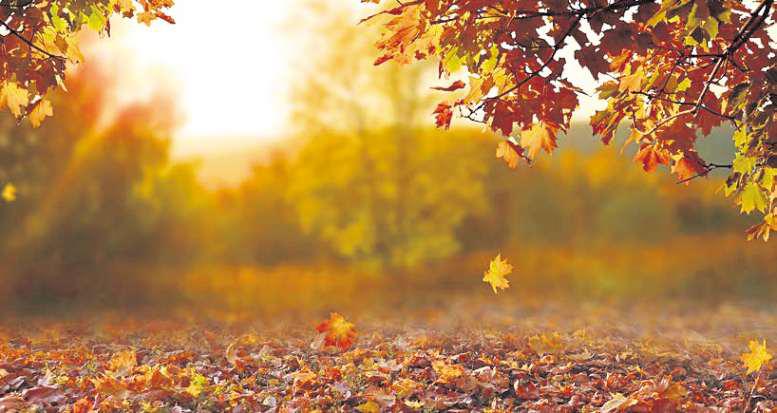 Finding a balance as Autumn arrives with sunshine and rituals