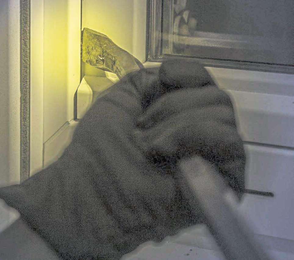 Burglars to face Christmas in jail before fate known