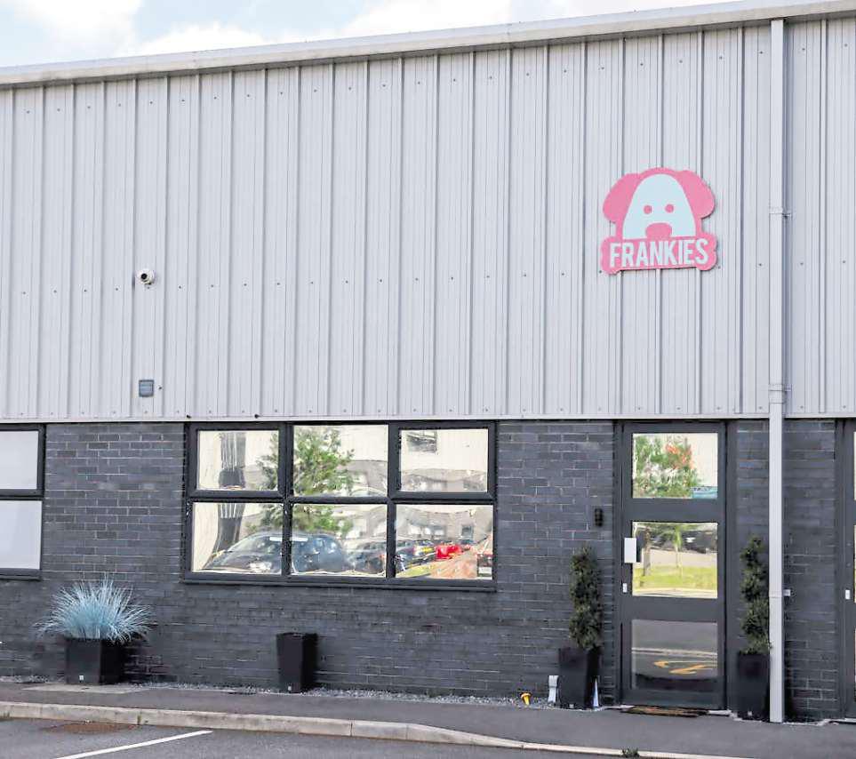 Pet daycare shuts for good after a council inquiry