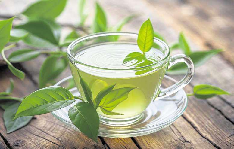 Herbal remedies boost memory