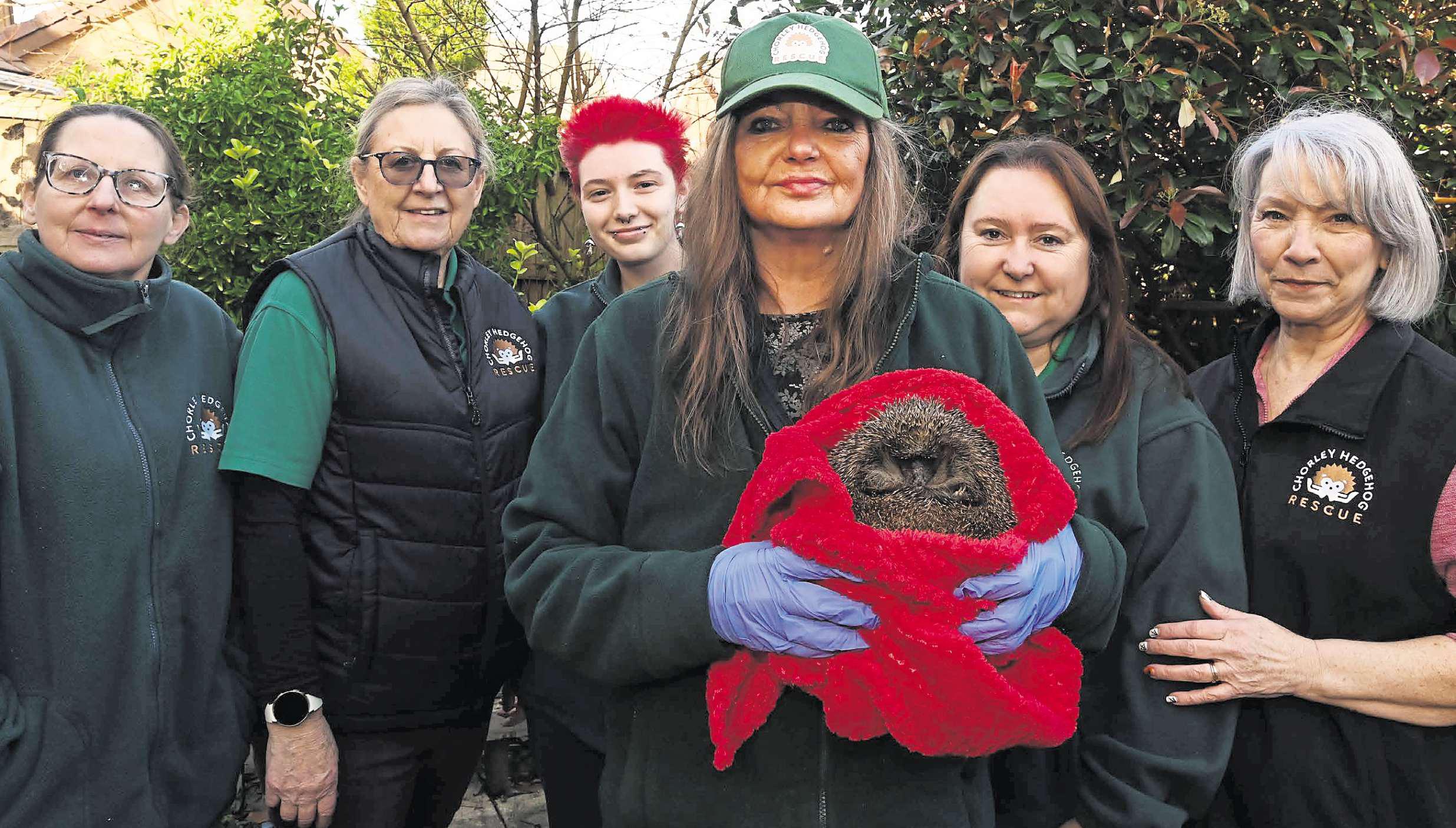 We're going the whole hog to raise money for our animal rescue centre