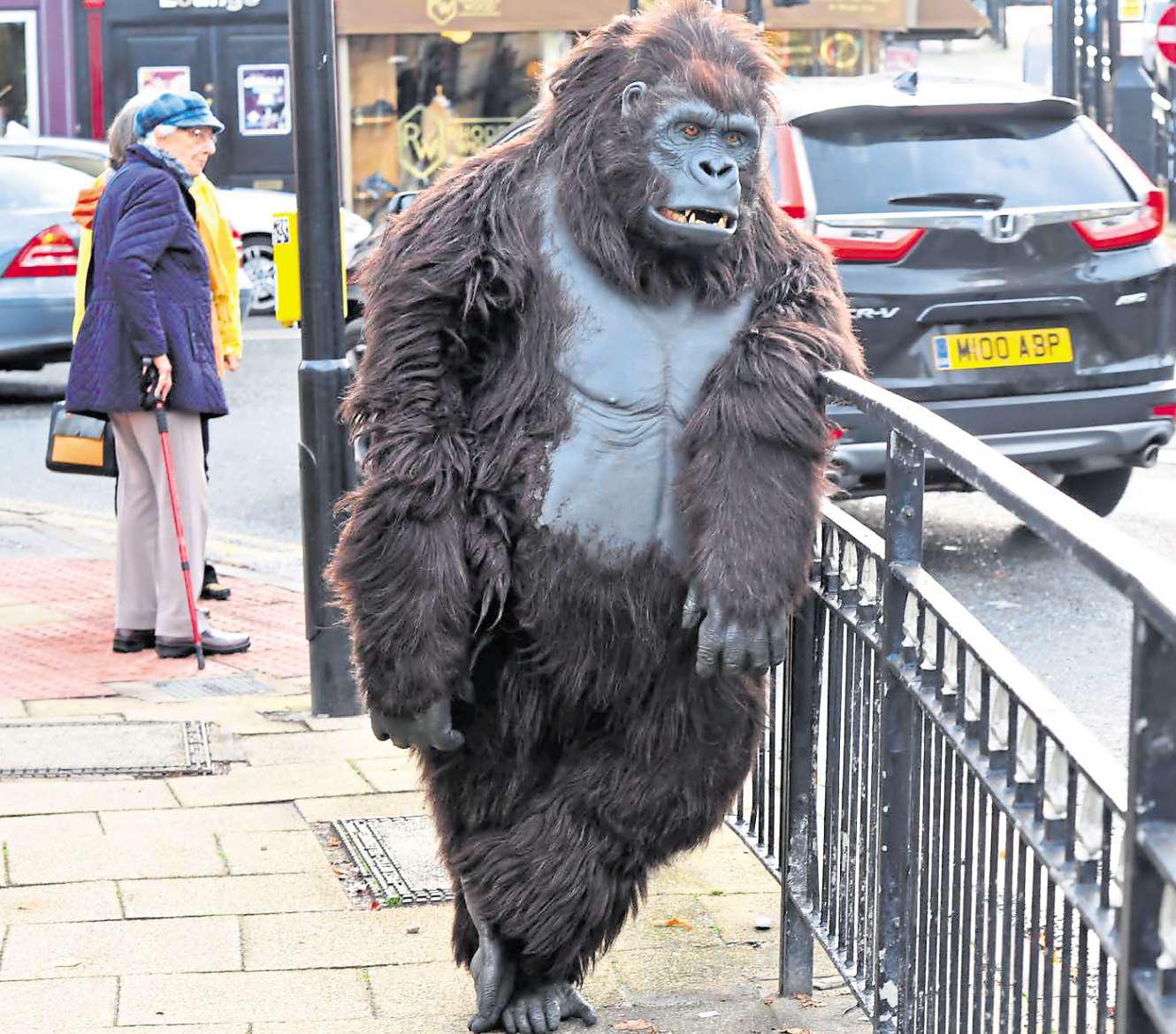 Monkey business