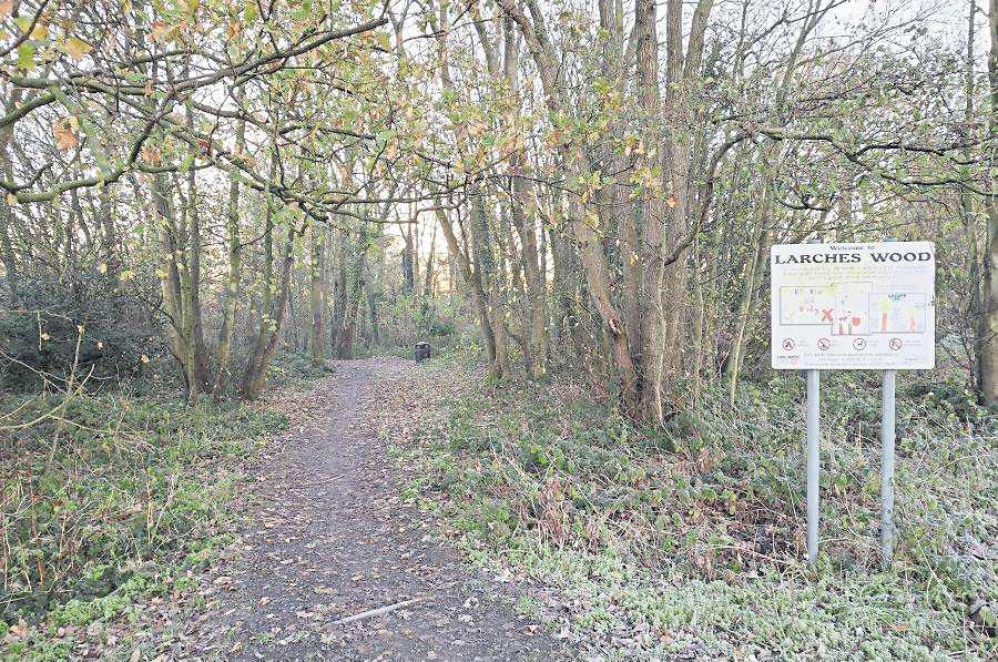 New community group to protect and preserve wood