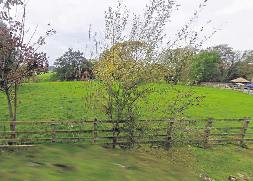 Council to rule on controversial greenbelt homes
