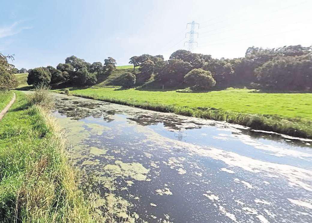 Police ask public to help identify body in canal