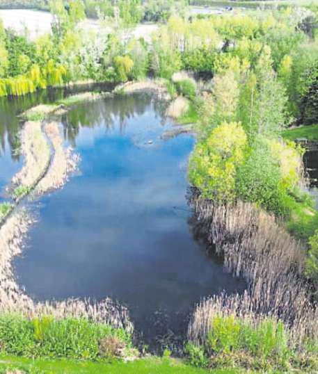 Estate agent aims for a big fish to buy angling spot