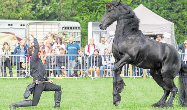 Animal magic and fantastic food ahead at county show