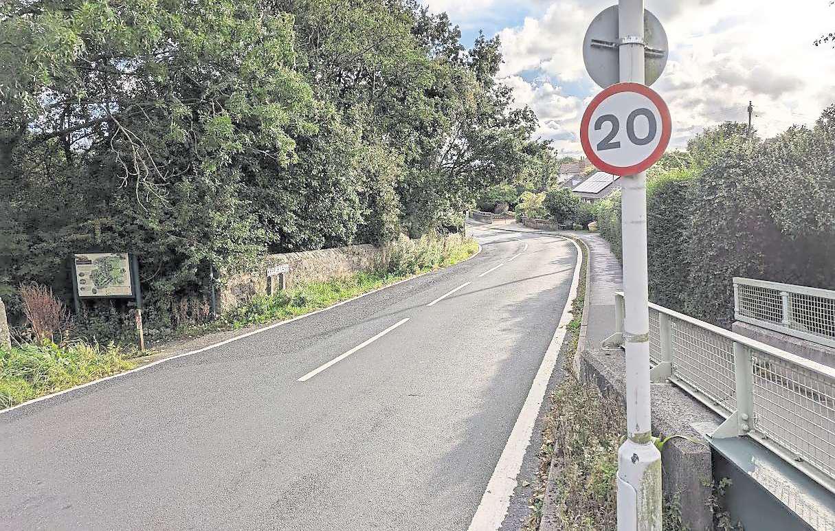 Claims speed humps needed to slow down speeders on busy country road