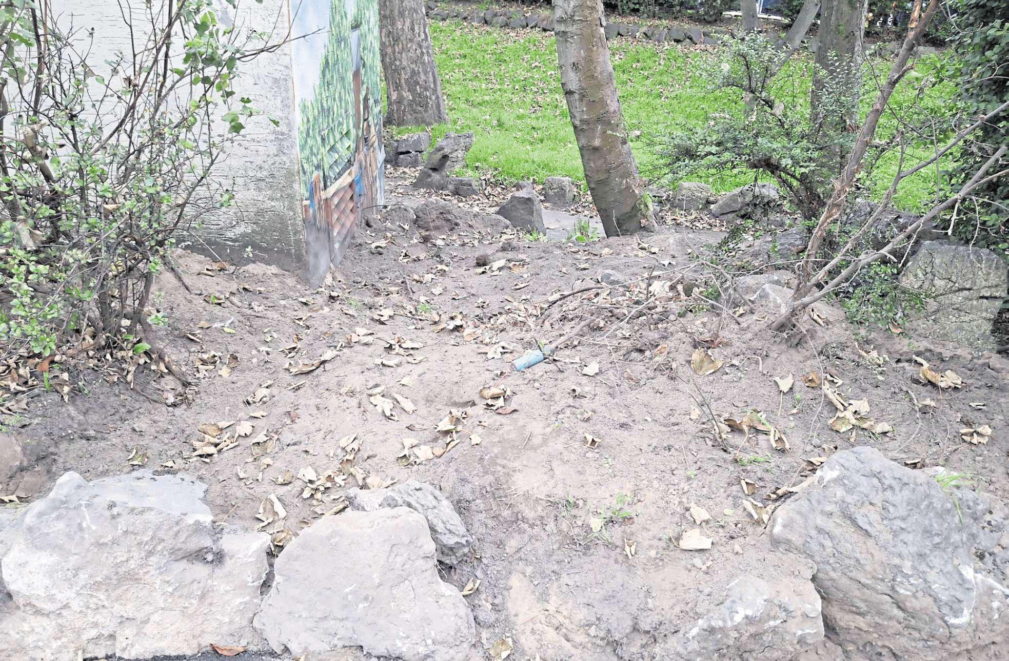 Utility company apologises after 'violation' of town gardens