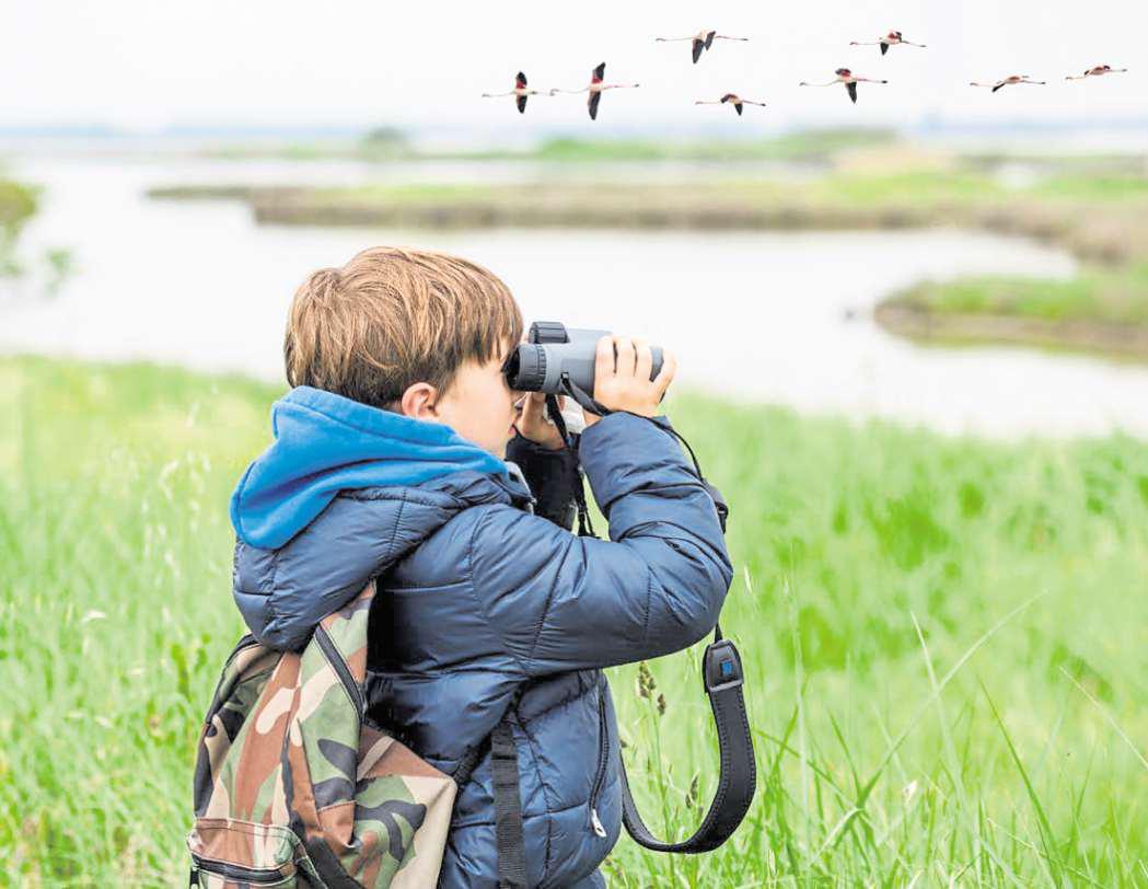 Forget the bubble bath - get me binoculars