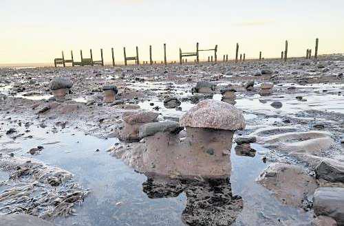 Major sea defence scheme gets under way to protect homes
