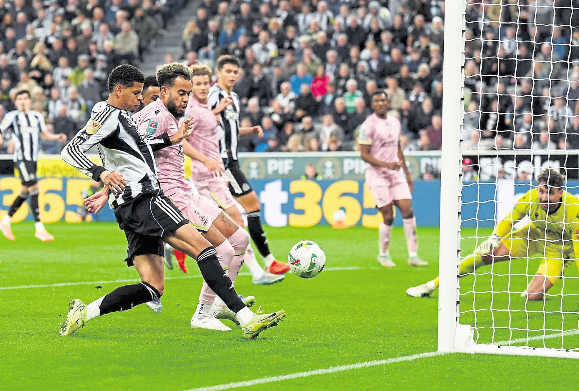 Howe: Osula 'progressing' following a 'turbulent' end to summer window