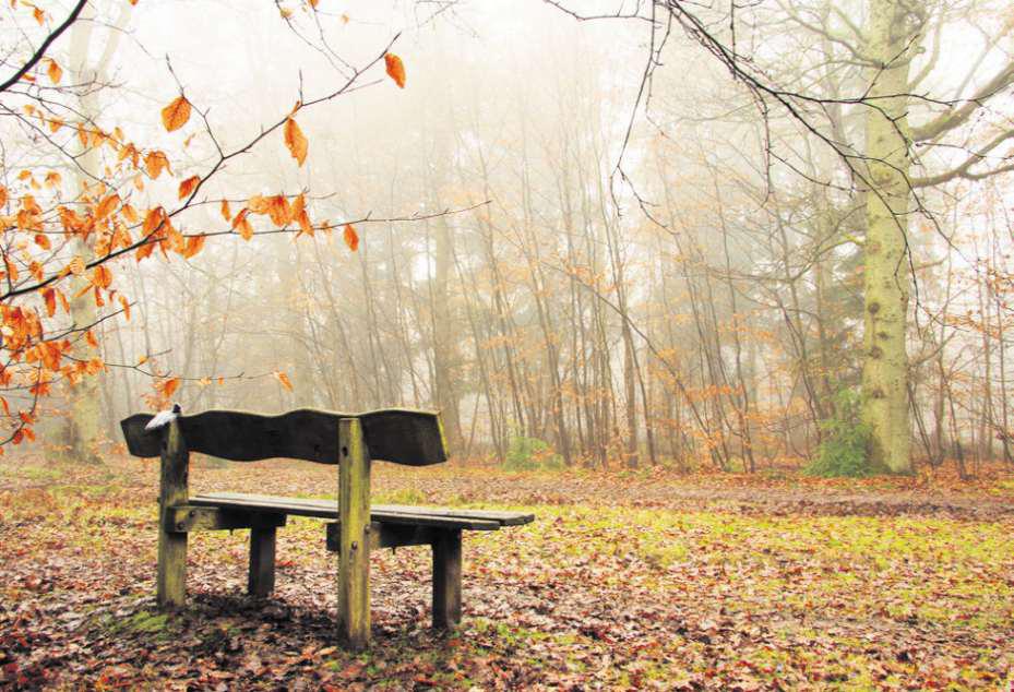 Keeping memories of loved ones alive