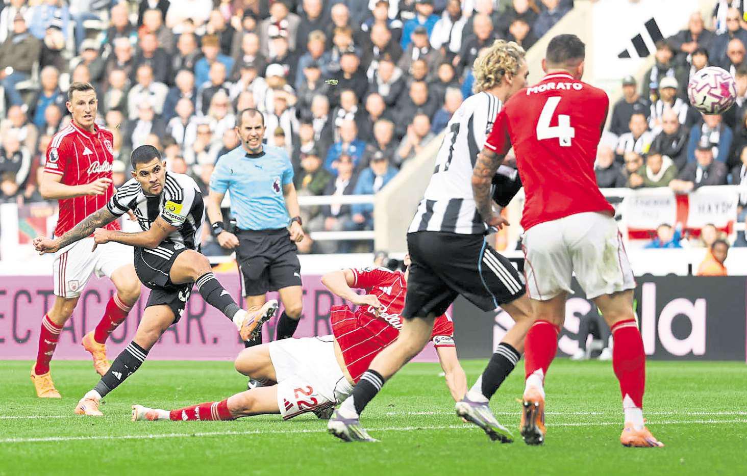 Guimaraes says there IS more to come from Toon