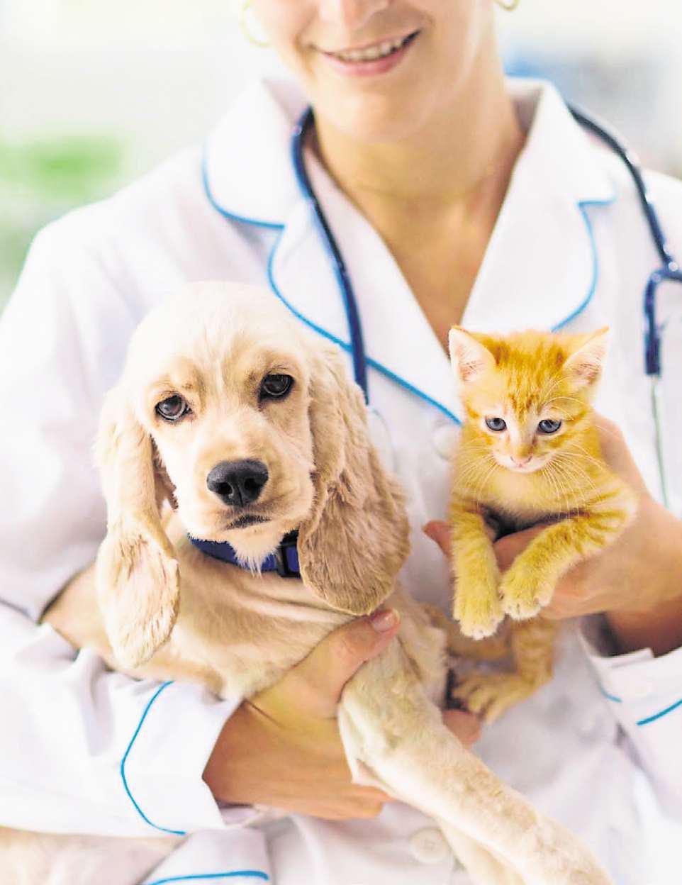 Remedies would be good for customers and for vets