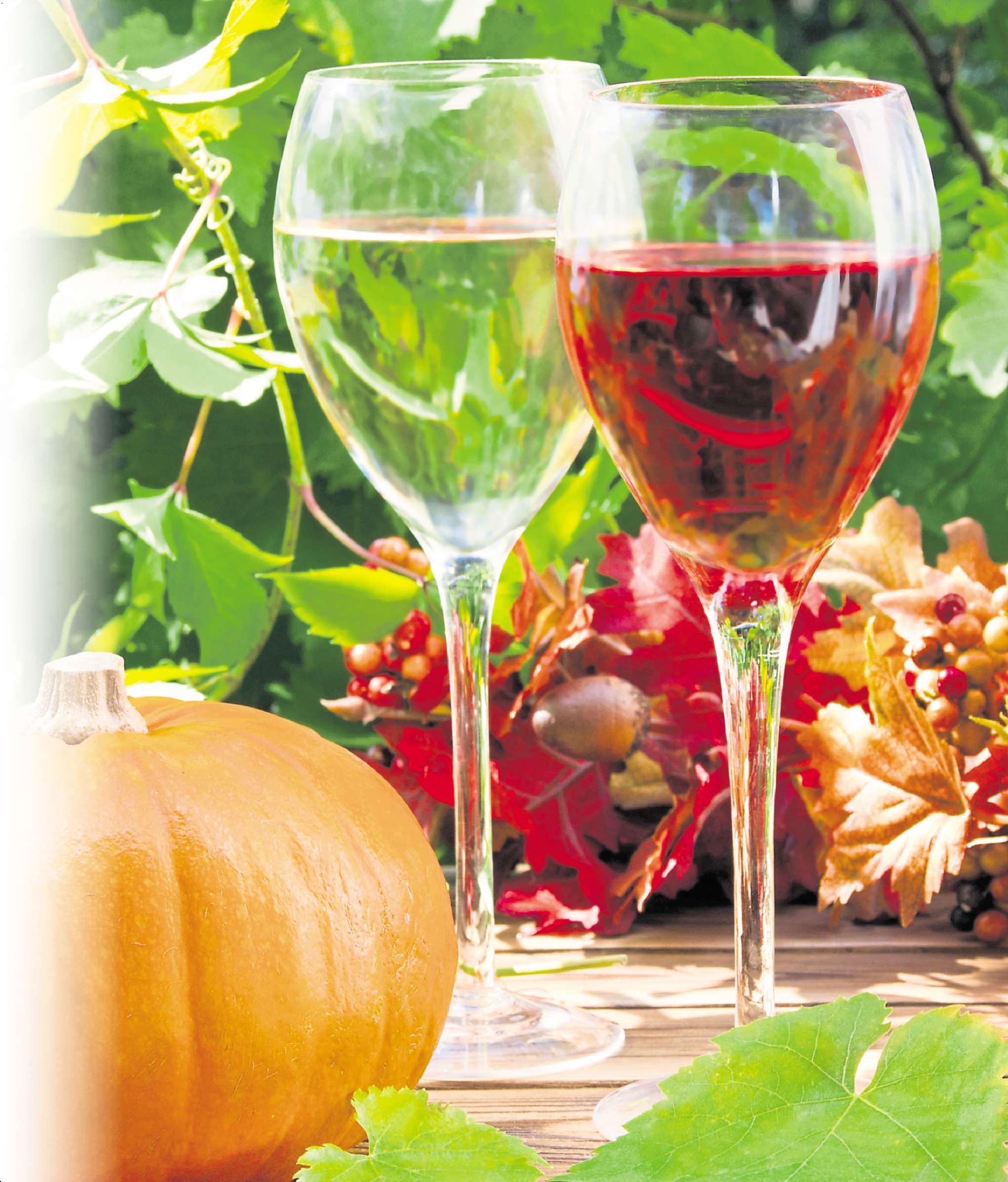 6 wines to bring autumn cheer
