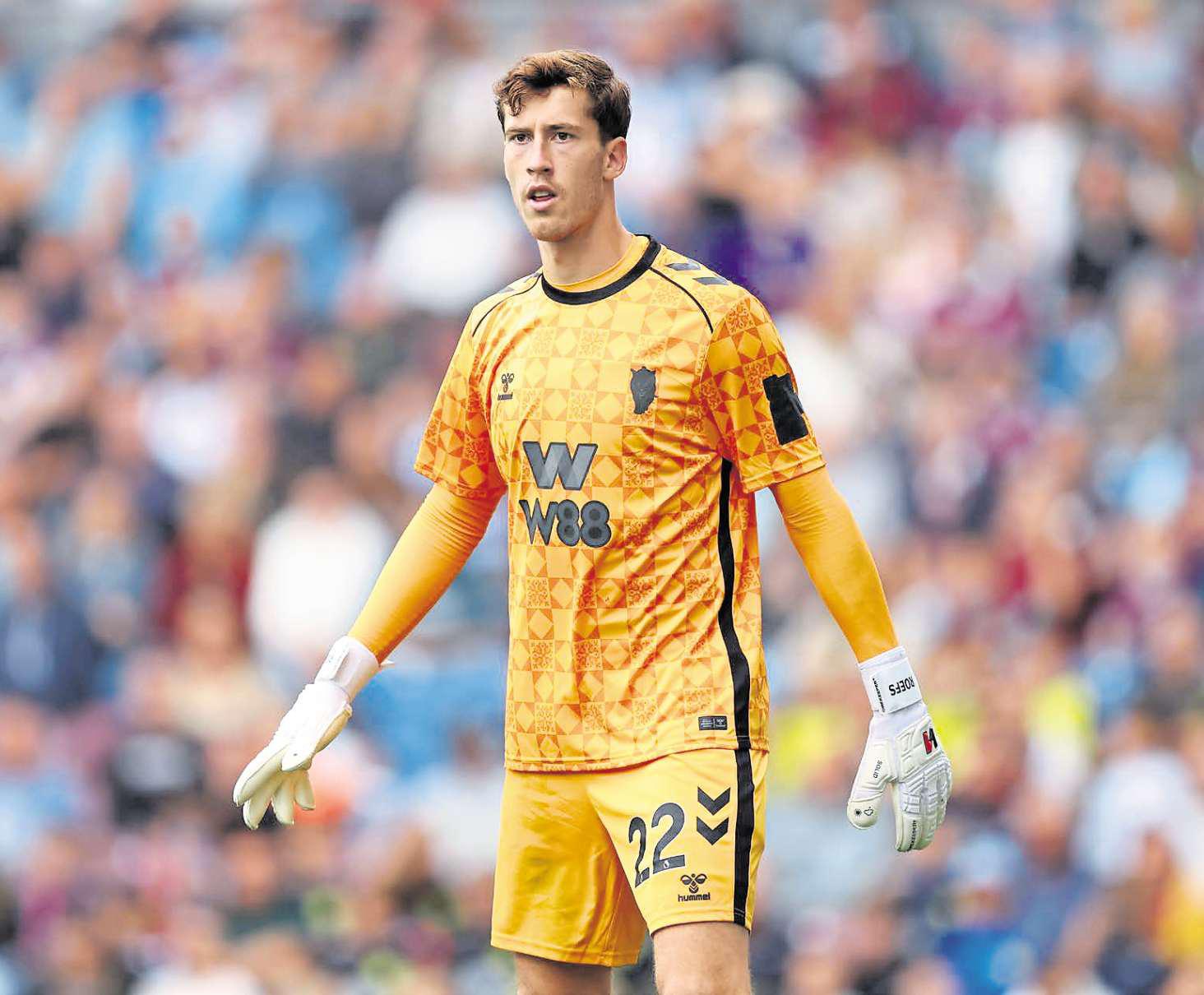 Roefs is lavished with praise after Cats summer transfer