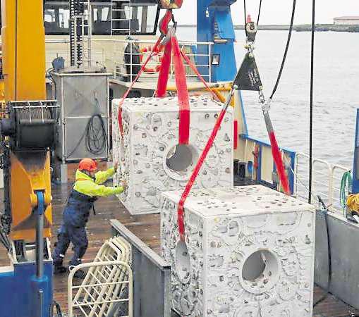 Oyster 'purls' aim to help support the environment