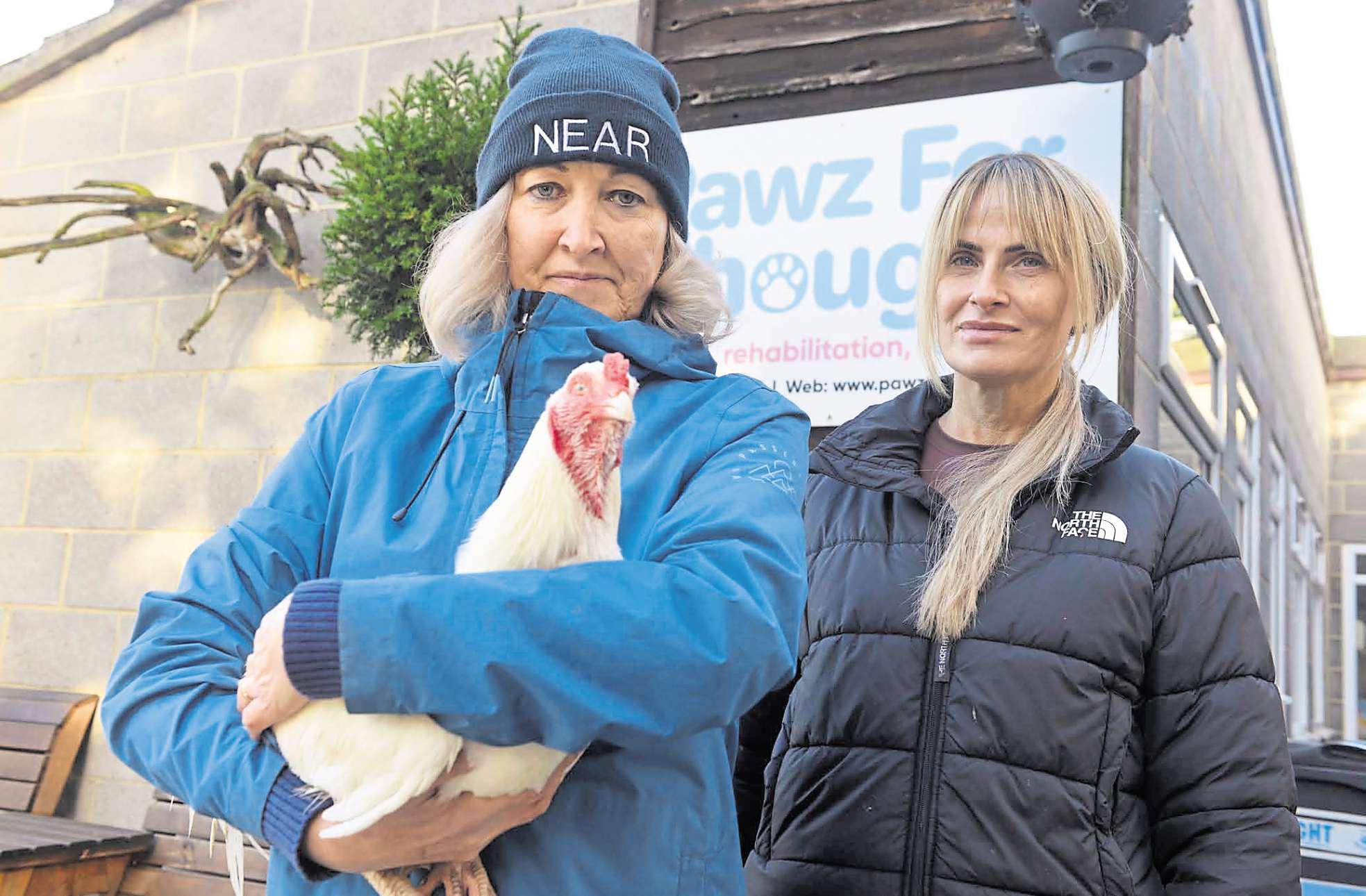 Baby chicks stopped from being used to teach children about nature
