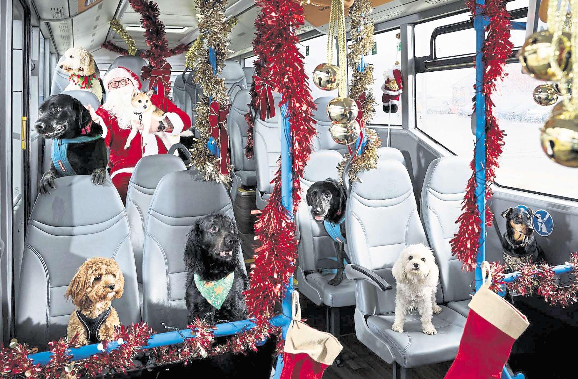 Santa Paws is coming to town just for dogs and their owners