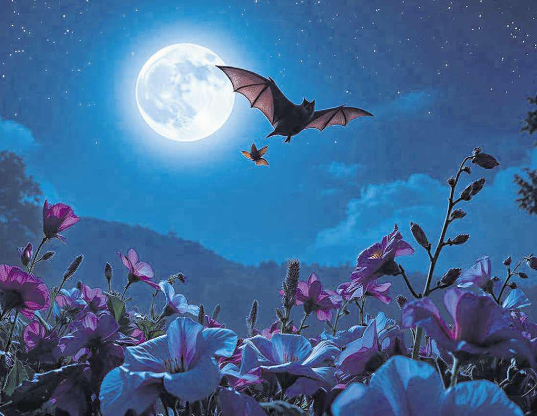 Your choice of garden plants matters to bats