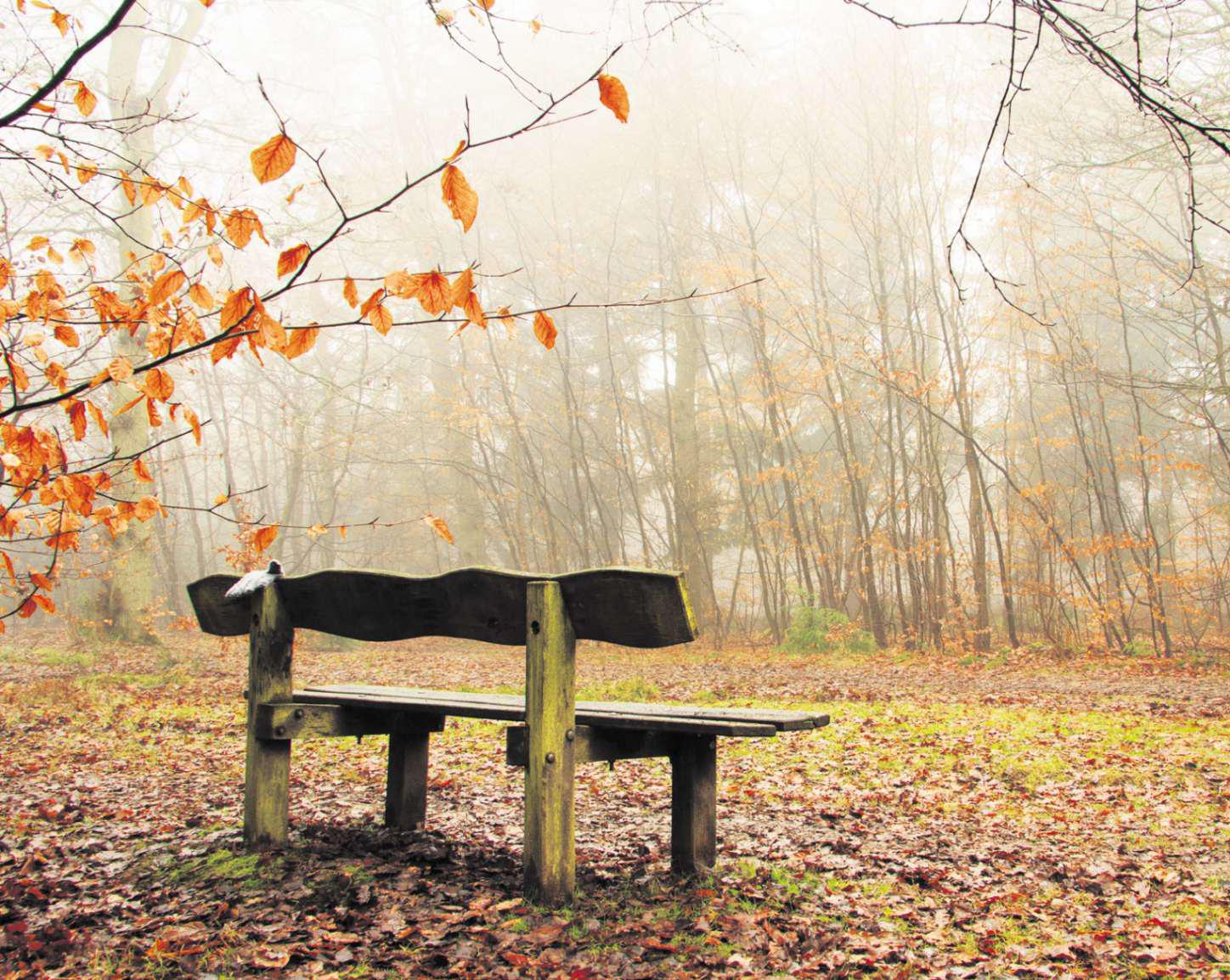 Keeping memories of loved ones alive