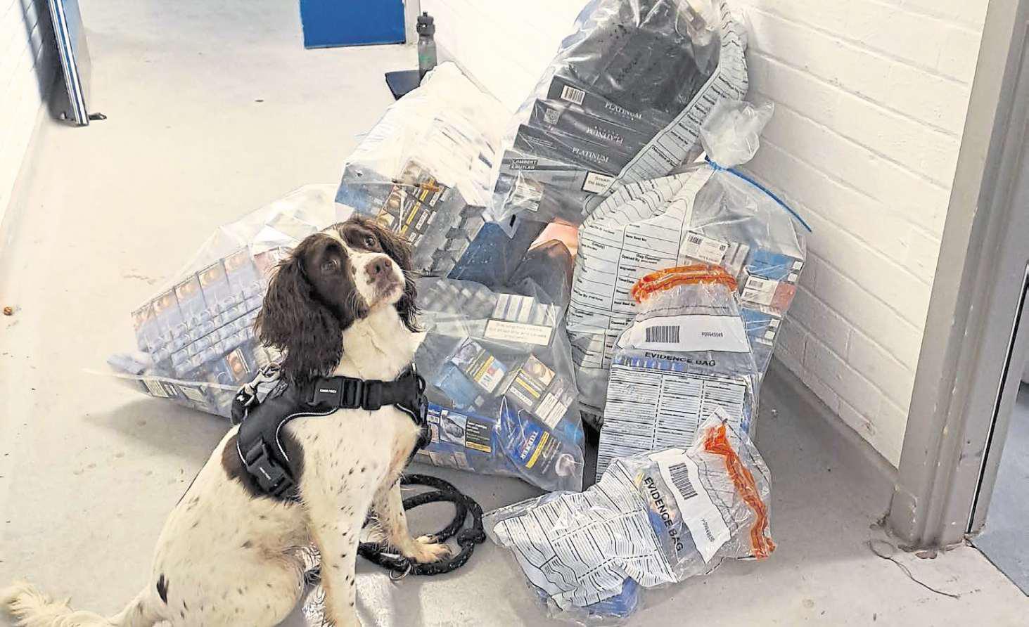 £10,000 worth of illegal tobacco products seized